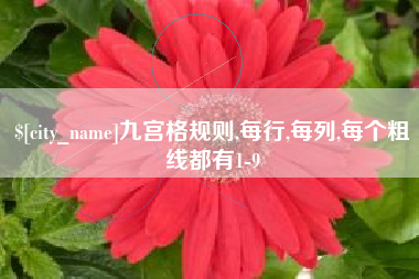 萍乡九宫格规则,每行,每列,每个粗线都有1-9