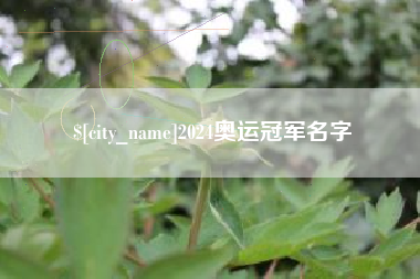 萍乡2024奥运冠军名字