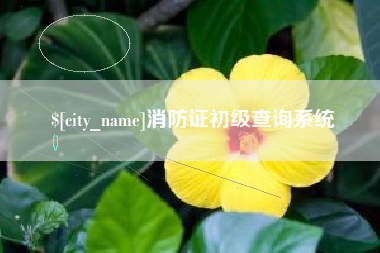萍乡消防证初级查询系统