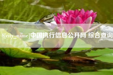 萍乡中国执行信息公开网 综合查询