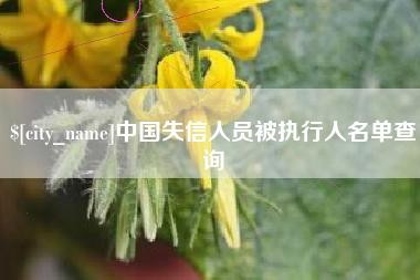 萍乡中国失信人员被执行人名单查询
