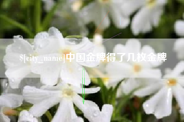 萍乡中国金牌得了几枚金牌