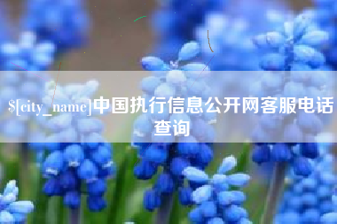 萍乡中国执行信息公开网客服电话查询