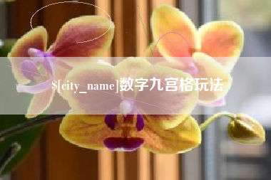 萍乡数字九宫格玩法
