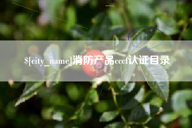萍乡消防产品cccf认证目录