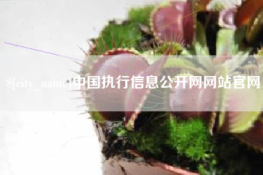 萍乡中国执行信息公开网网站官网