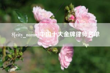 萍乡中国十大金牌律师名单