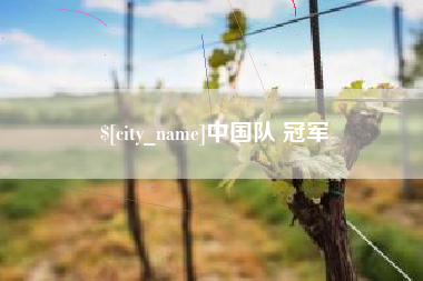 萍乡中国队 冠军
