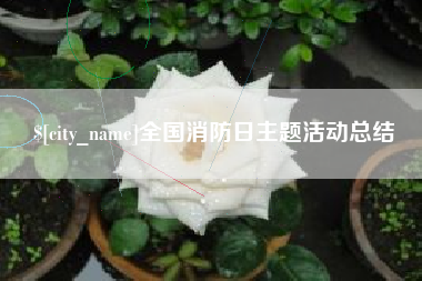 萍乡全国消防日主题活动总结