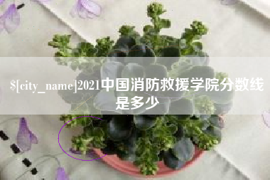 萍乡2021中国消防救援学院分数线是多少