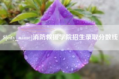 萍乡消防救援学院招生录取分数线