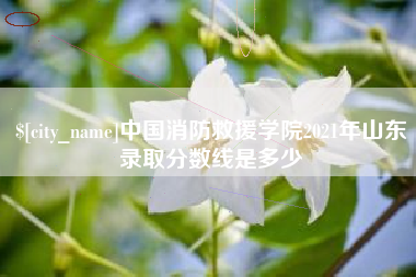 萍乡中国消防救援学院2021年山东录取分数线是多少