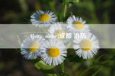 萍乡成都 消防