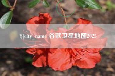 萍乡谷歌卫星地图2025