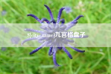 萍乡九宫格盘子