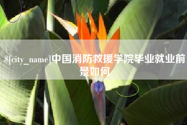 萍乡中国消防救援学院毕业就业前景如何