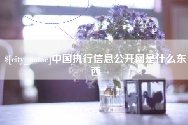 萍乡中国执行信息公开网是什么东西