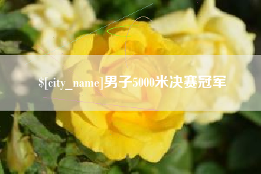 萍乡男子5000米决赛冠军