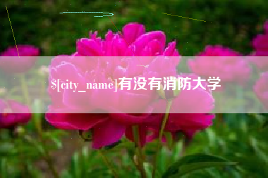 萍乡有没有消防大学