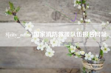 萍乡国家消防救援队伍报名网址