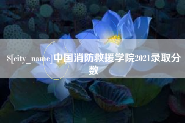 萍乡中国消防救援学院2021录取分数
