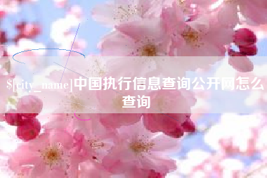 萍乡中国执行信息查询公开网怎么查询