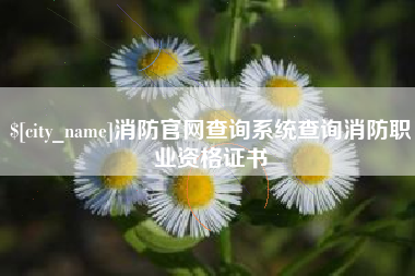 萍乡消防官网查询系统查询消防职业资格证书