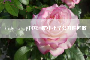 萍乡中国消防中小学公开课回放