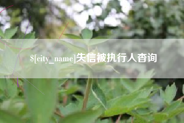 萍乡失信被执行人杳询