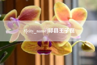 萍乡邱县王子磊