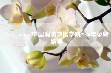萍乡中国消防救援学院2020年录取结果