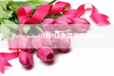 萍乡11月9日全国消防日图片