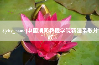 萍乡中国消防救援学院新疆录取分数