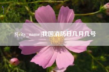 萍乡我国消防日几月几号