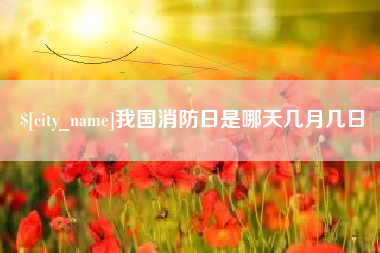 萍乡我国消防日是哪天几月几日