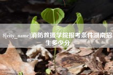 萍乡消防救援学院报考条件湖南招生多少分