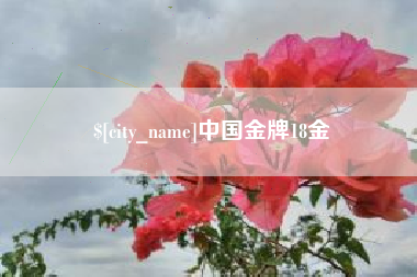 萍乡中国金牌18金