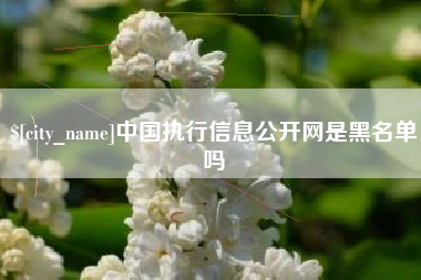 萍乡中国执行信息公开网是黑名单吗