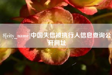 萍乡中国失信被执行人信息查询公开网址