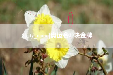 萍乡奥运会39块金牌