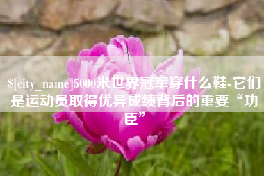 萍乡5000米世界冠军穿什么鞋-它们是运动员取得优异成绩背后的重要“功臣”