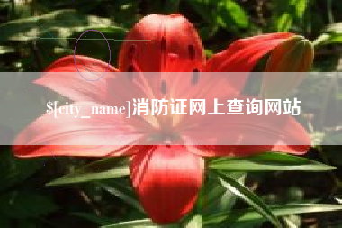 萍乡消防证网上查询网站