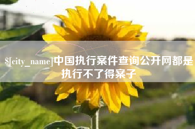 萍乡中国执行案件查询公开网都是执行不了得案子