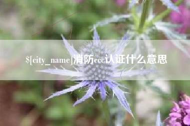 萍乡消防ccc认证什么意思