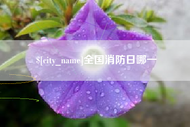 萍乡全国消防日哪一