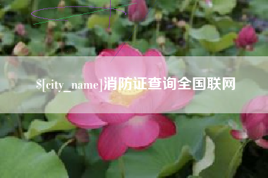 萍乡消防证查询全国联网