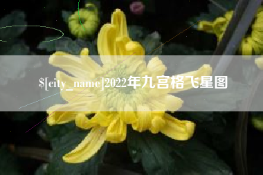 萍乡2022年九宫格飞星图