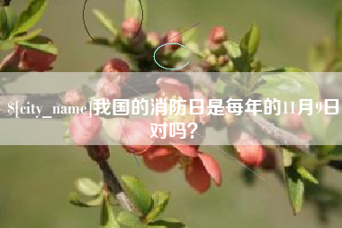 萍乡我国的消防日是每年的11月9日对吗？