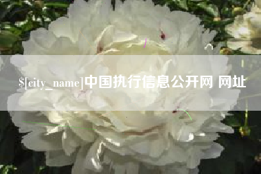 萍乡中国执行信息公开网 网址