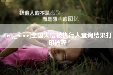 萍乡全国失信被执行人查询结果打印流程